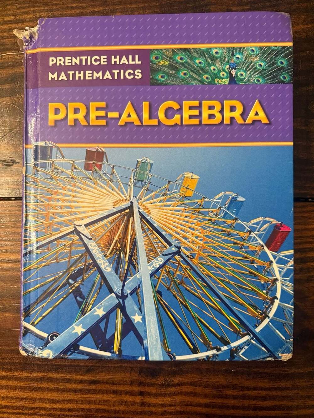Prentice Hall Mathematics Pre-Algebra Textbook